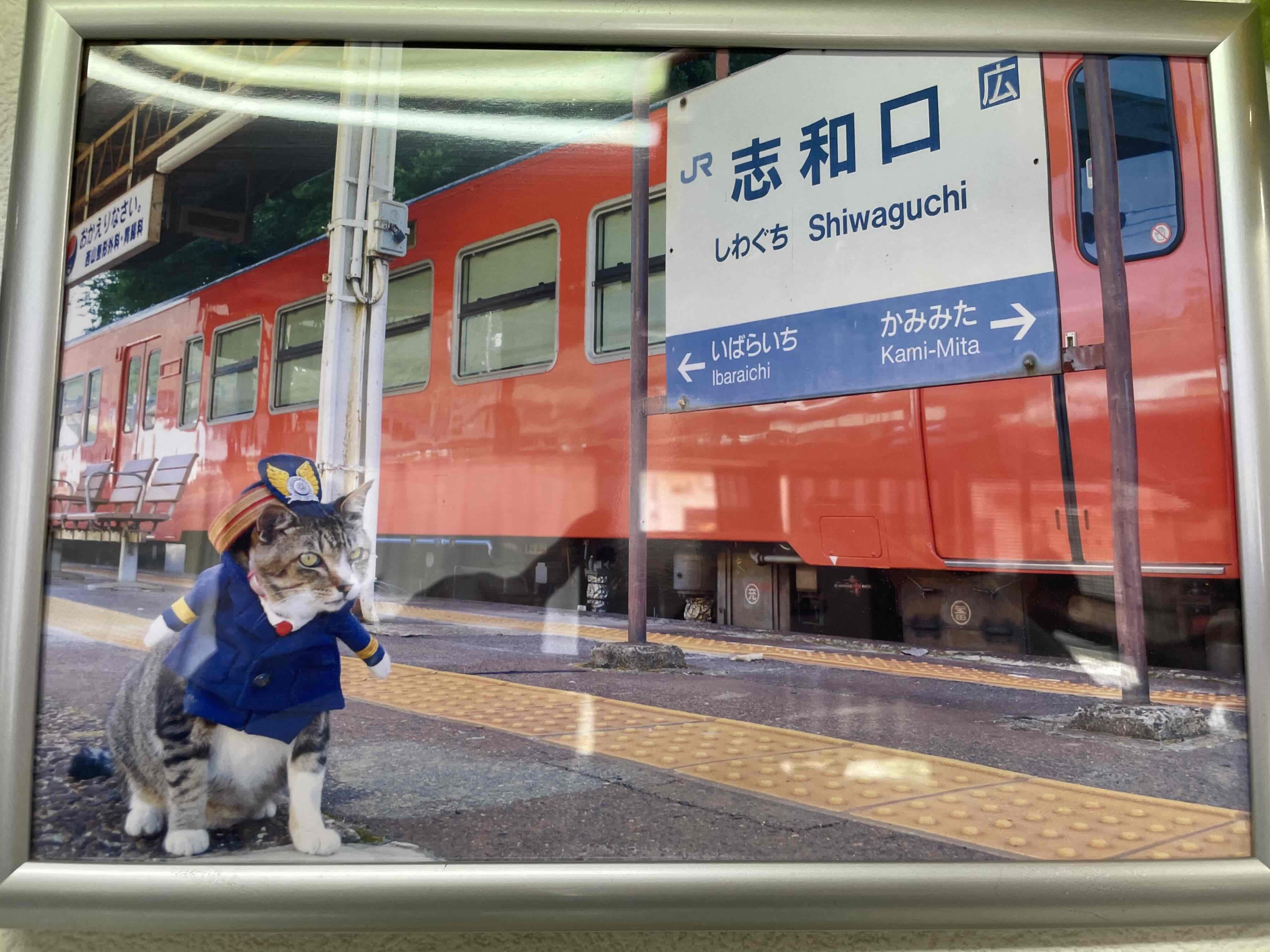 ねこ駅長1