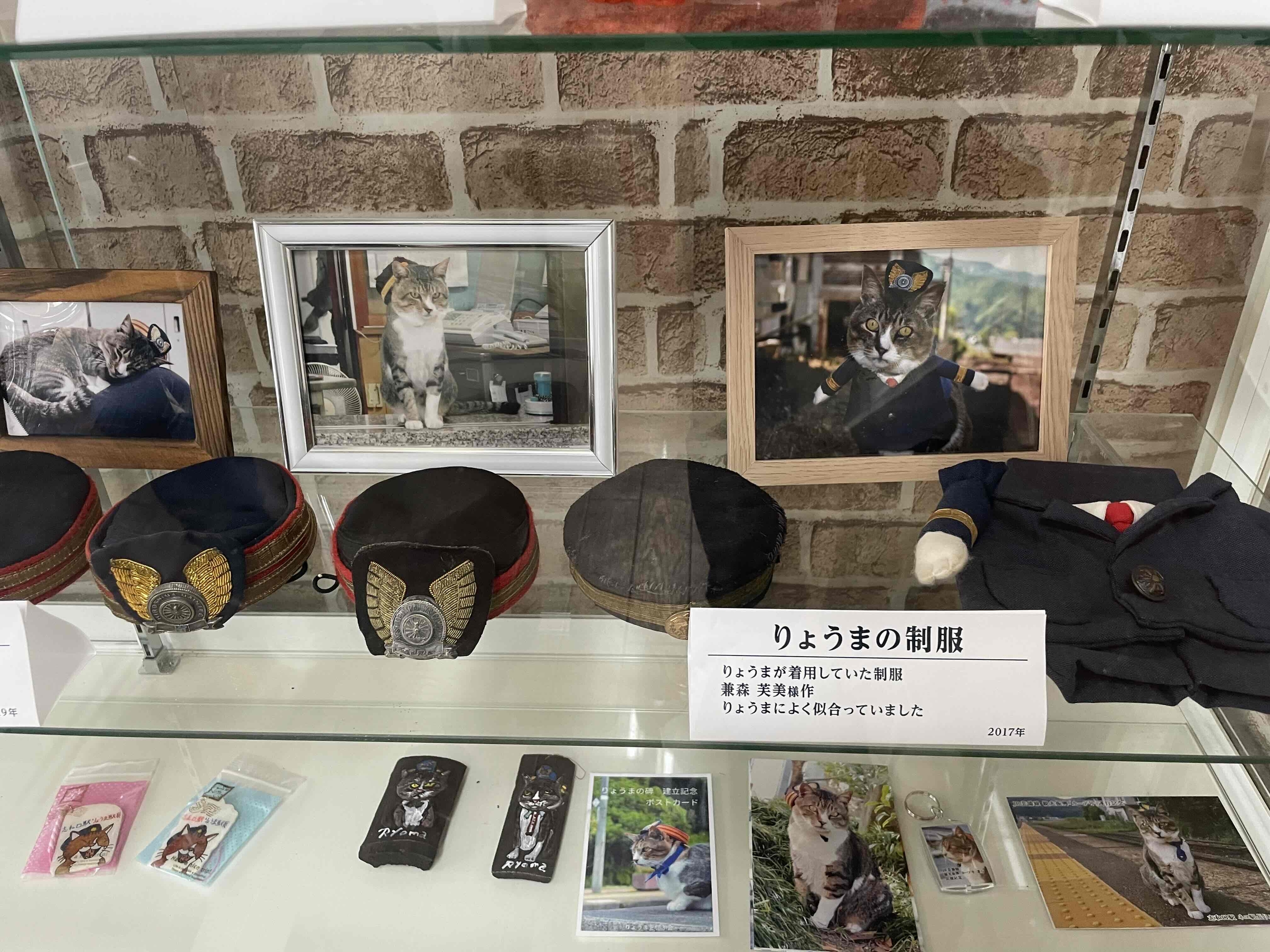 ねこ駅長6