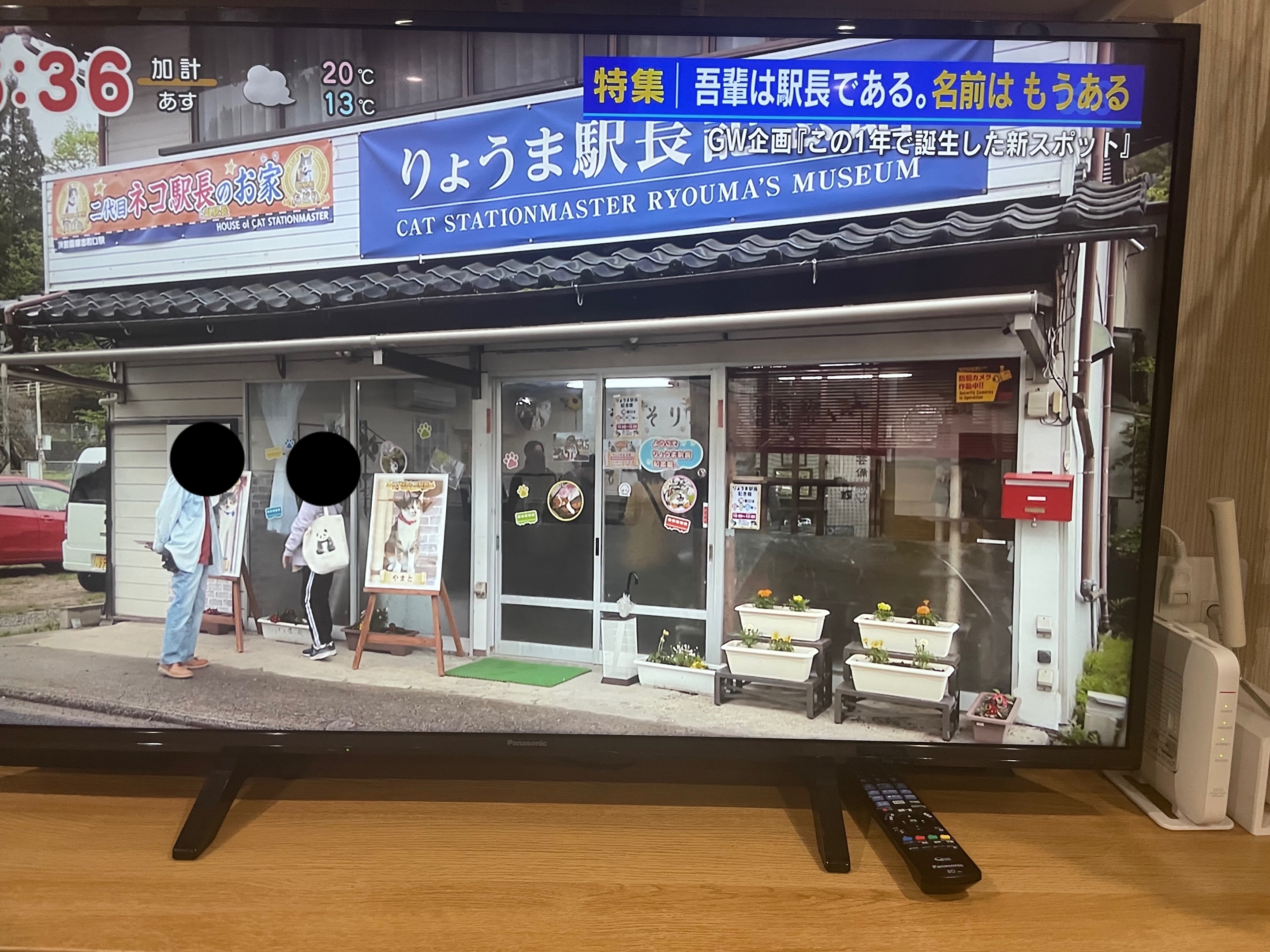 ねこ駅長8